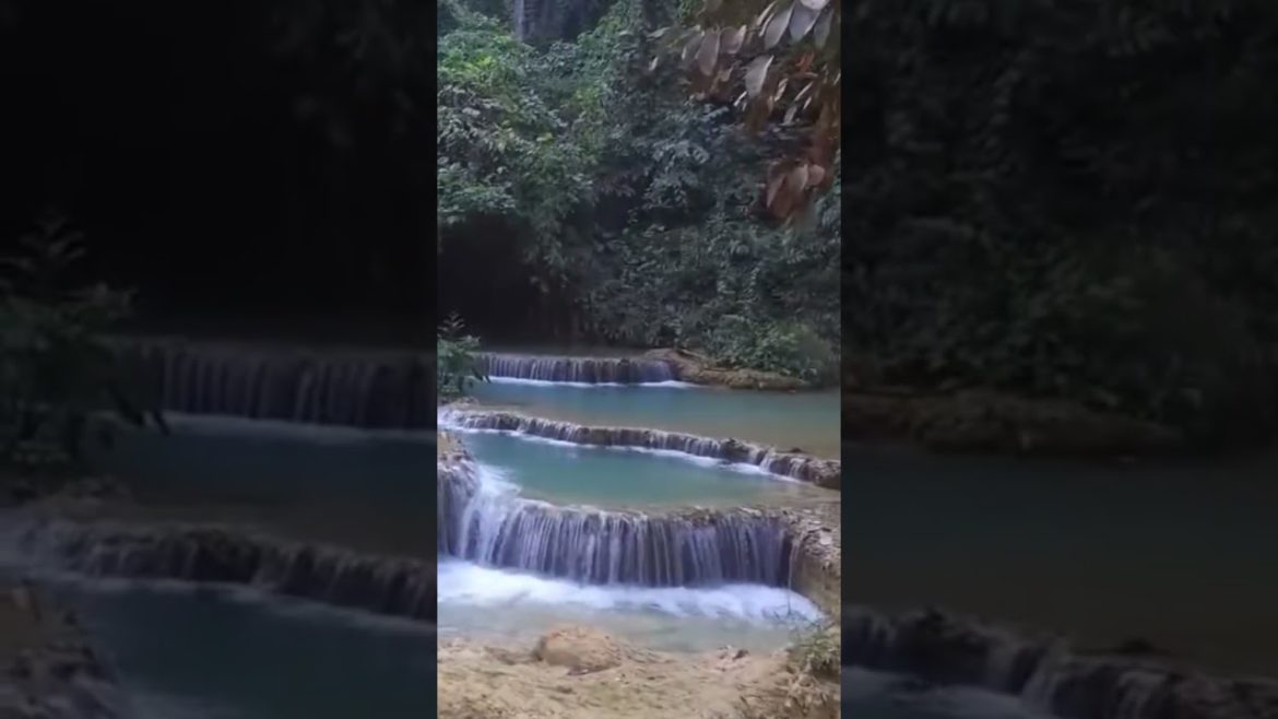 #laos  #shortvideo #landscapedesignideas #trending #viral #waterfall #gardentastic #shorts