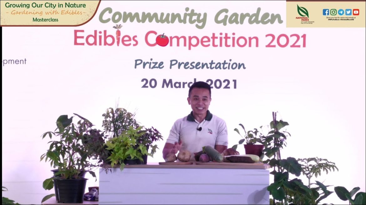 Gardening Masterclass: Growing Rooted Vegetables Gardening Masterclass: Growing Rooted Vegetables