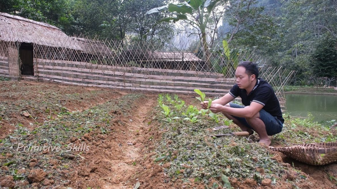 Primitive Skills: extend, build an organic garden (ep 201) Primitive Skills: extend, build an organic garden (ep 201)