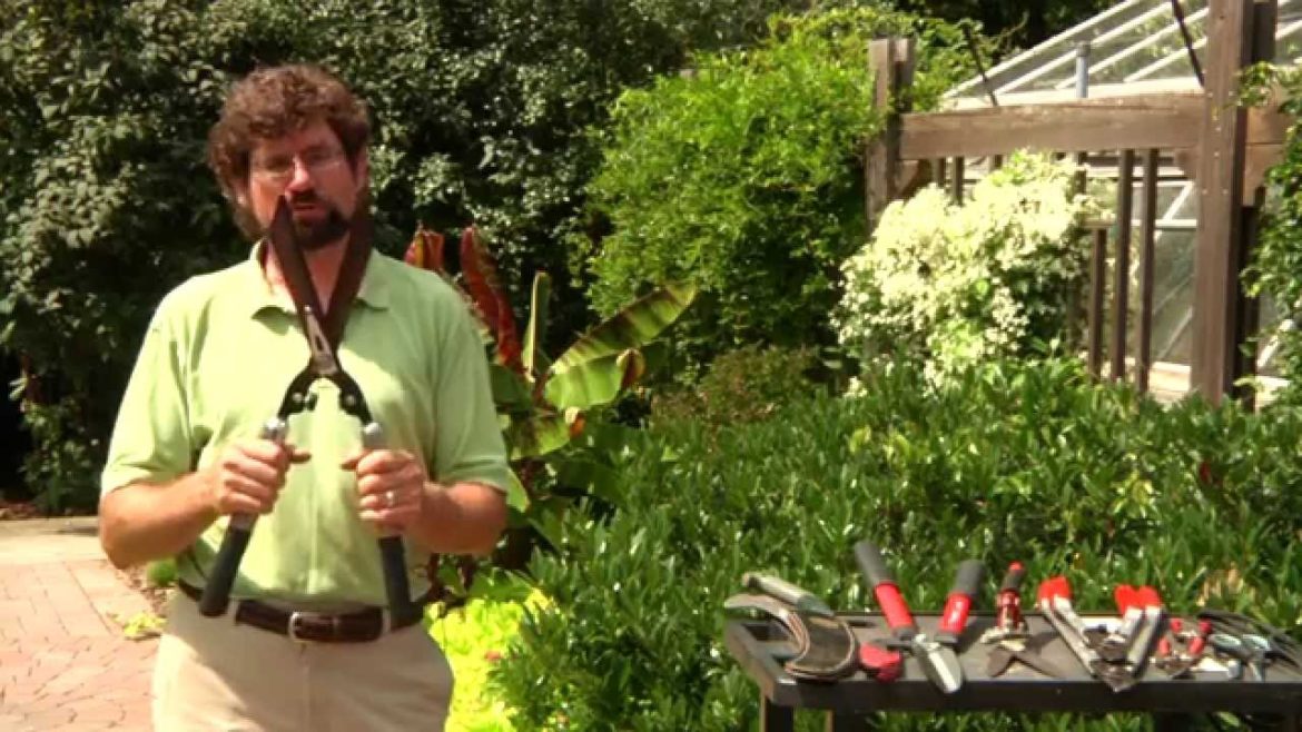 Food for Thought,  Garden Tips: Pruning Tools