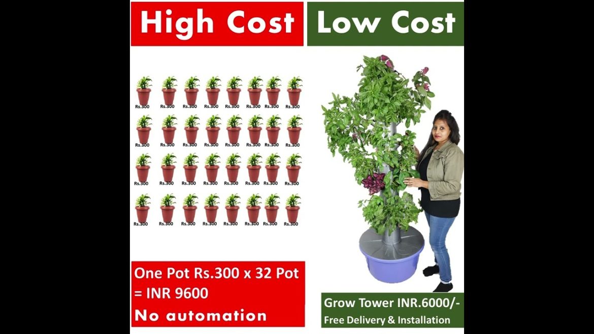 Easy Home Garden for Lazy and busy Growers. Easy Home Garden for Lazy and busy Growers.