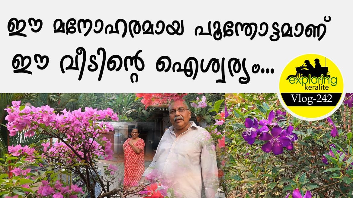 Home Garden Design & ideas | #homedecor #garden #ideas