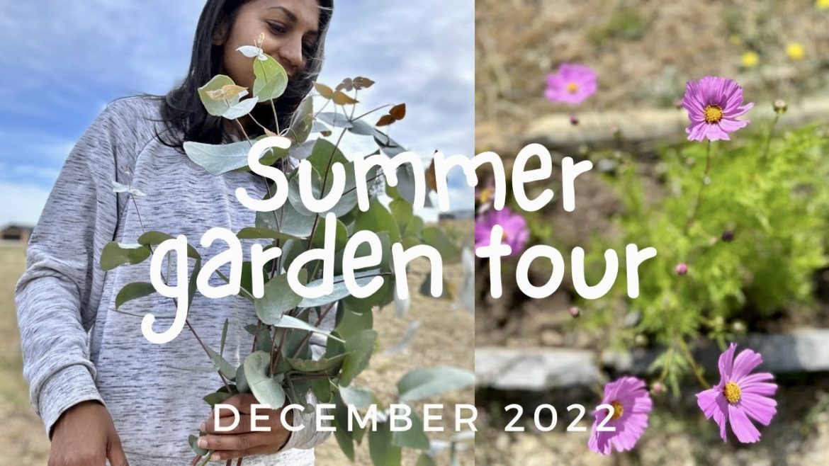 Summer garden tour December 2022