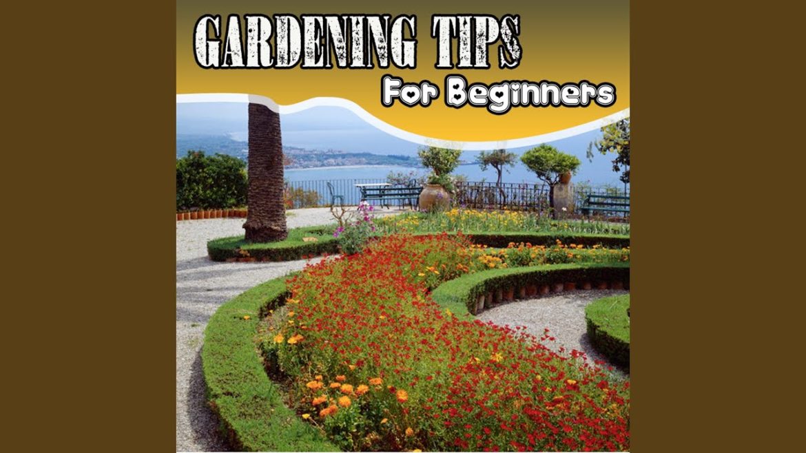 Gardening Tools and Equipment (and Where to Store Everything)