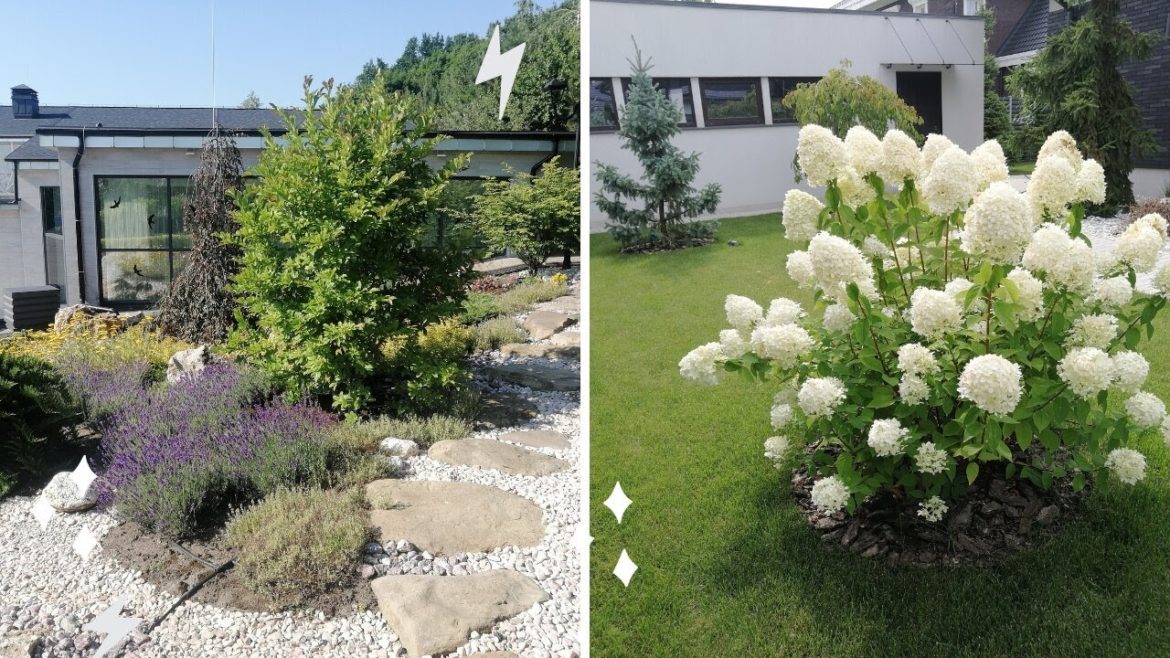 Beautiful gardens and small backyards landscaping