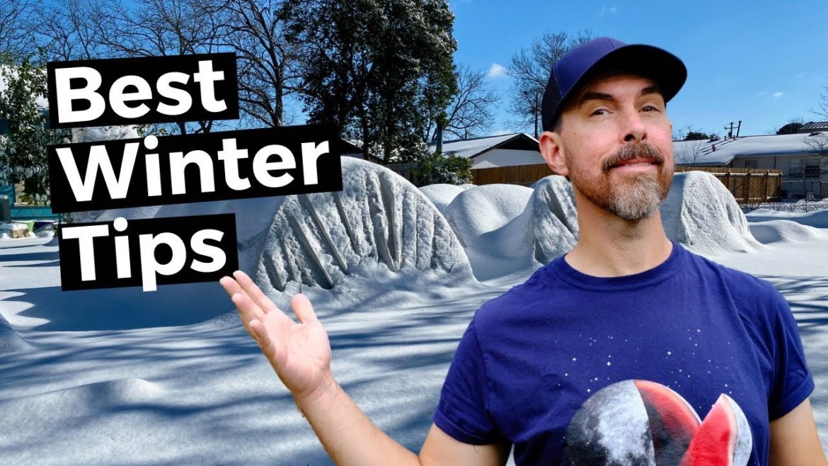 BEST WINTER GARDEN TIPS FOR TEXAS BEST WINTER GARDEN TIPS FOR TEXAS