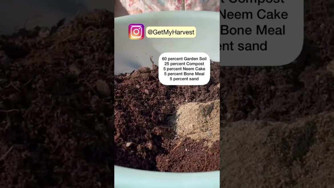 🥕Potting Soil Mix for Vegetable plants | गमलों में सब्जी  के लिए पॉटिंग सॉइल मिक्स रेसिपी 🥦 #Shorts