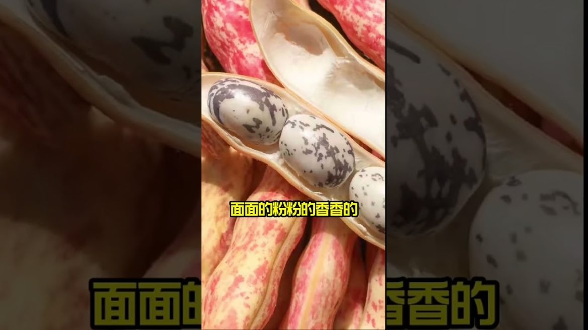 how to growth vegetable /gardening ideas for home