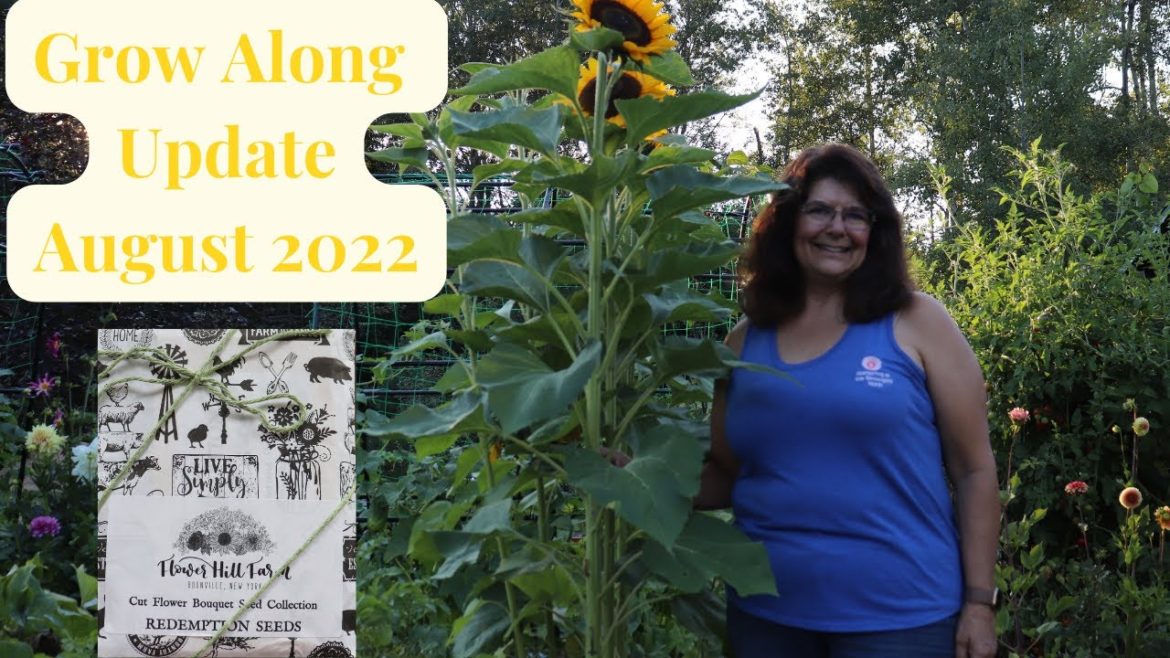 Flower Hill Farm Grow Along Update Aug 2022 // Gardening at the Simongetti North
