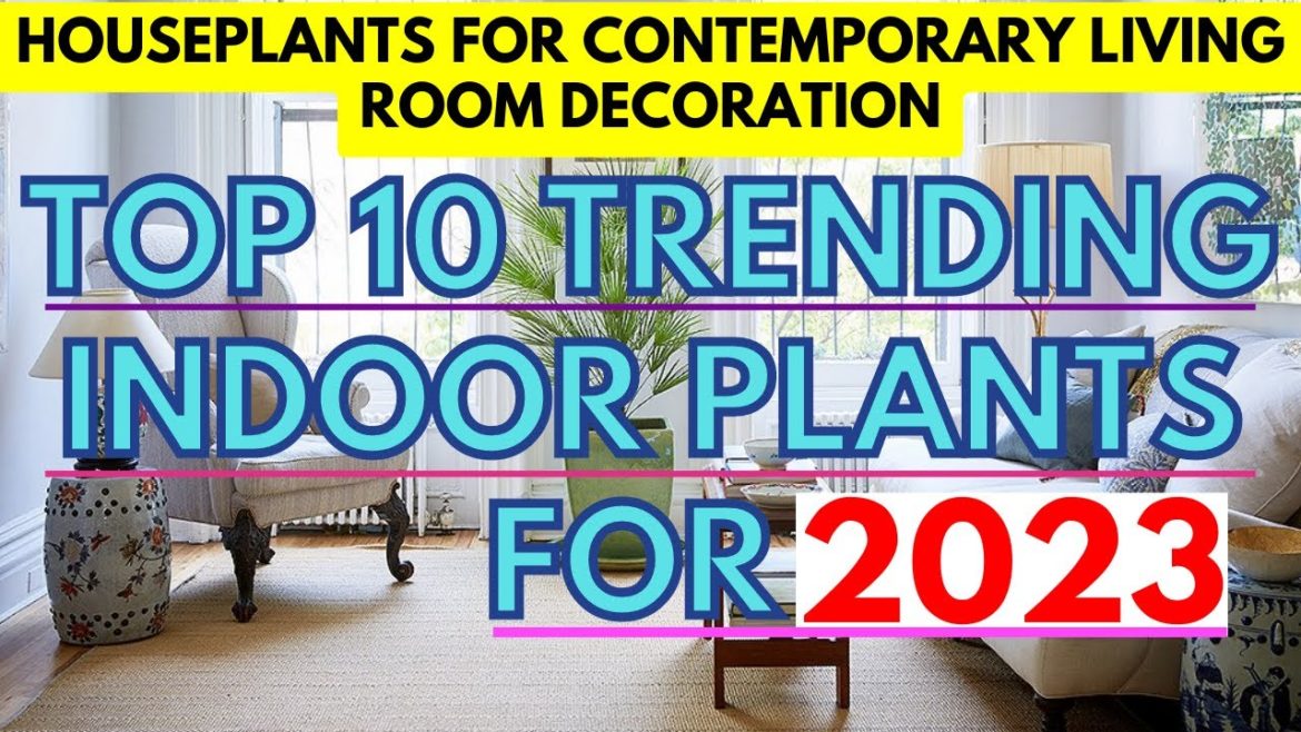 Top 10 Trending Indoor Plants of 2023 for your living room | House plants for living room Top 10 Trending Indoor Plants of 2023 for your living room | House plants for living room