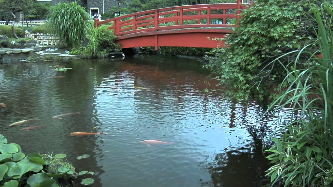 Japanese Garden in Tokyo, Japan with waterfalls, miniature landscapes and bonsai trees Japanese Garden in Tokyo, Japan with waterfalls, miniature landscapes and bonsai trees