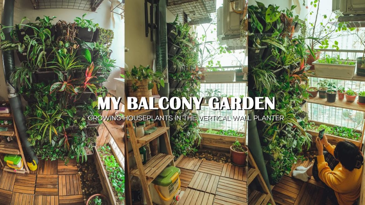 Growing Houseplants in the Vertical Wall Garden on the 4m2 Balcony | Balcony Garden Decoration Ideas Growing Houseplants in the Vertical Wall Garden on the 4m2 Balcony | Balcony Garden Decoration Ideas