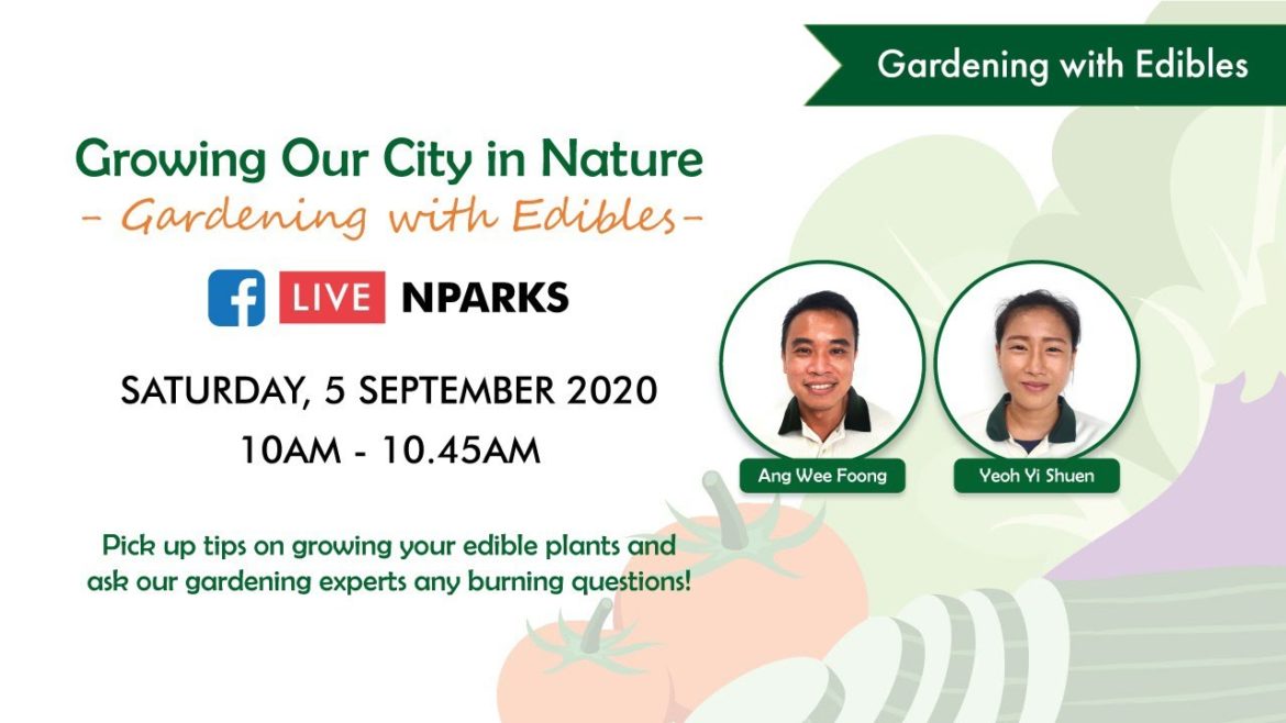 Gardening with Edibles Facebook Live | Episode 2 Gardening with Edibles Facebook Live | Episode 2