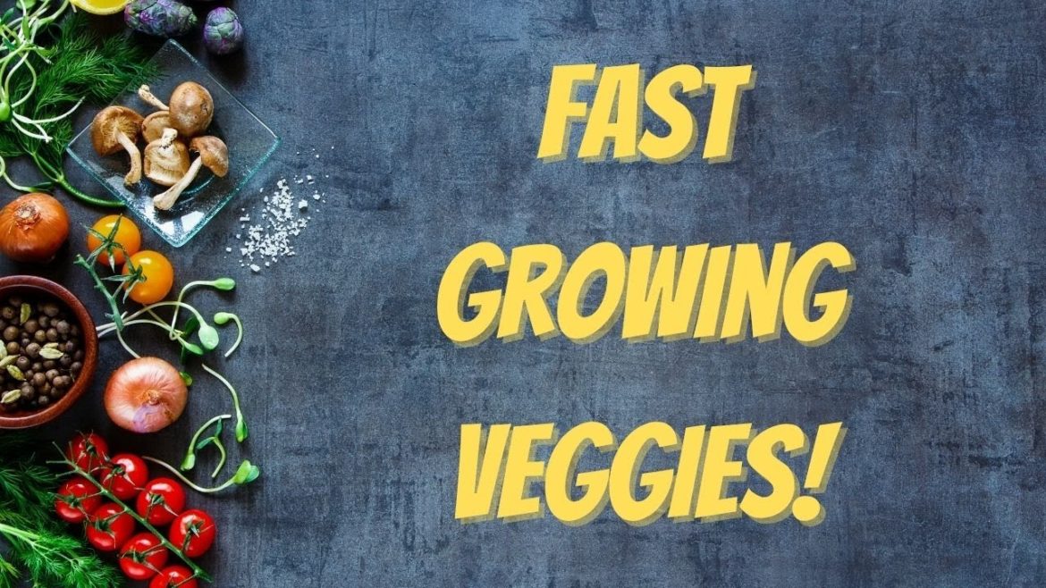 5 Fast Growing Veggies You Can Harvest In Under One Month 5 Fast Growing Veggies You Can Harvest In Under One Month