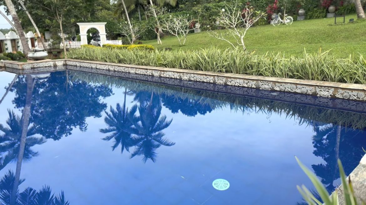 Luxury Hotel and Beautiful Garden | Photography Location | Luxury Resort | 4K Video