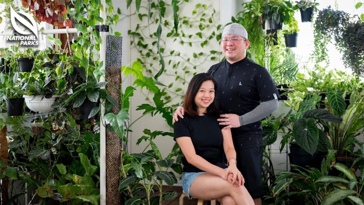 The Garden Invasion Series: Green Sanctuary