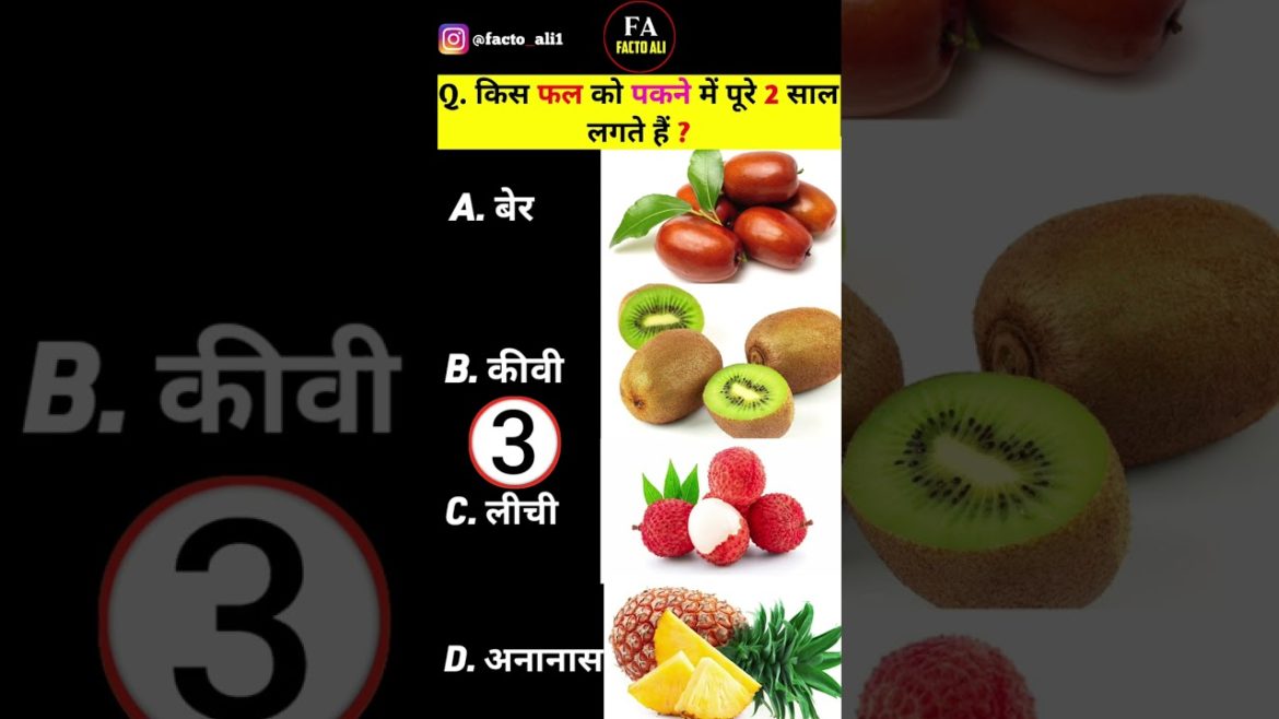 Gk | Gk Questions In Hindi | Gk In Hindi |Gk Quiz | facto ali #gk #shorts Gk | Gk Questions In Hindi | Gk In Hindi |Gk Quiz | facto ali #gk #shorts