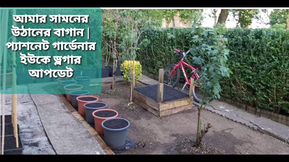 How to: My front yard garden | Passionate Gardener UK Vlogger update 2020 | UK Shokher bagan tips How to: My front yard garden | Passionate Gardener UK Vlogger update 2020 | UK Shokher bagan tips