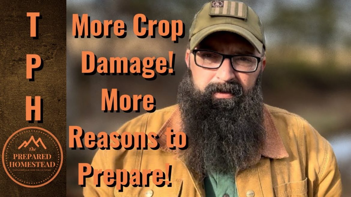 More Crop Damage! More reasons to Prepare!