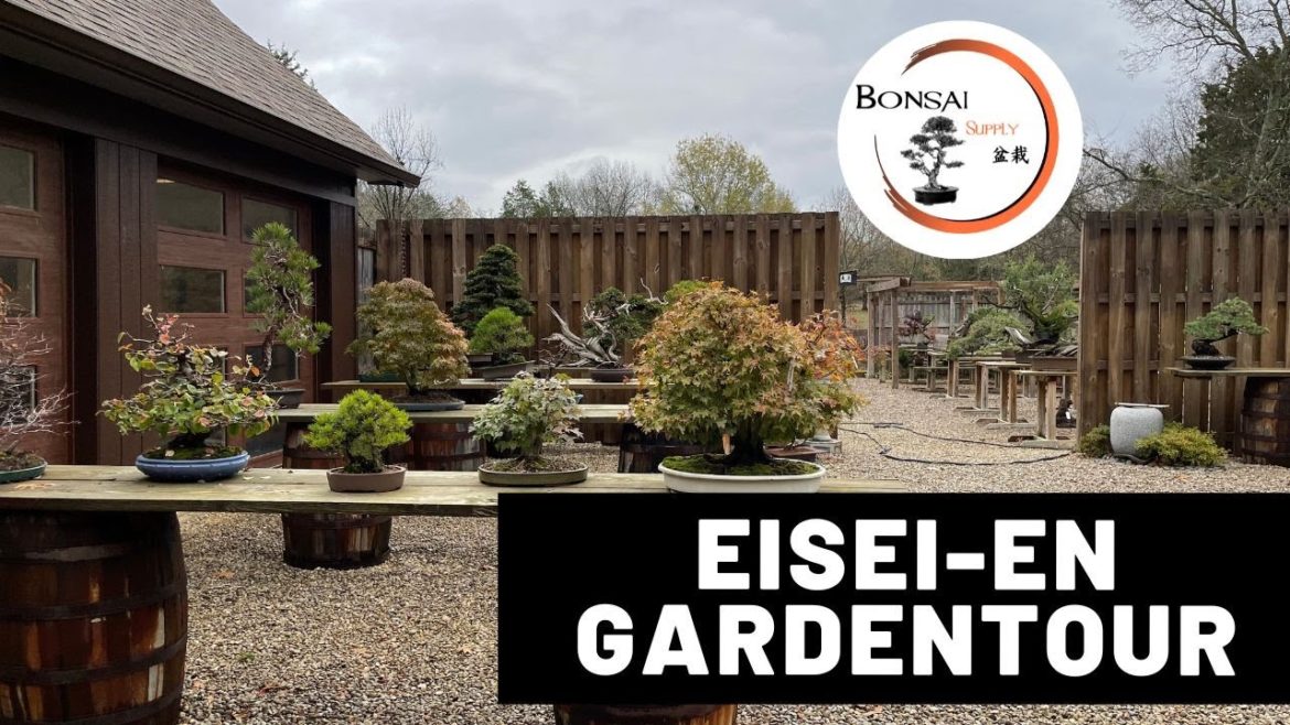 Eisei-En Garden Tour | The Bonsai Supply