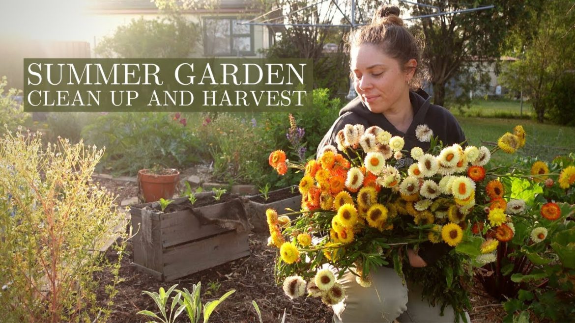 Satisfying Summer Garden Clean Up & Flower Harvest 🌼🌿 Vlogmas Day 17