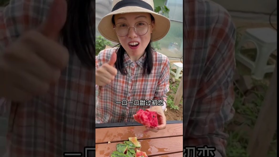 how to growth vegetable /gardening ideas for home