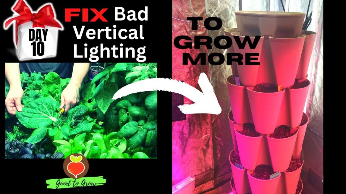 INDOORS Vertical Gardening | Grow Tent Grow Light Setup -  and it's DAY 10 of our 31 Days of Giving!