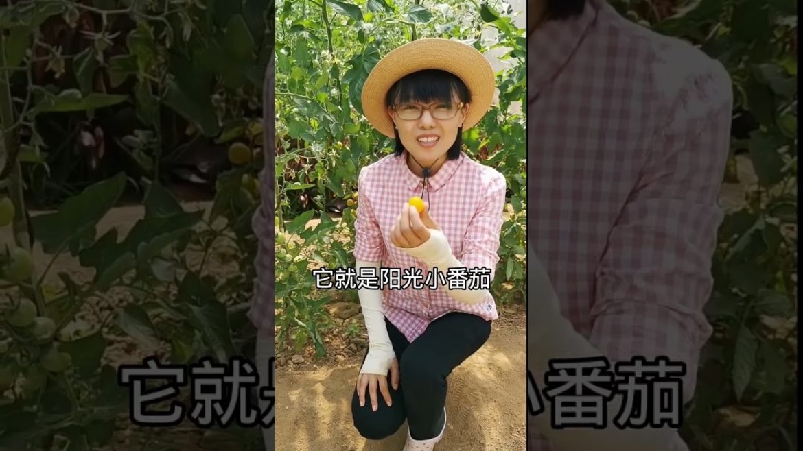 how to growth vegetable /gardening ideas for home