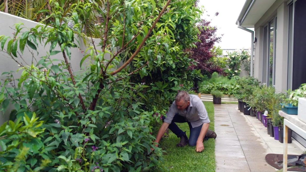The Garden Gurus - Heat Islands