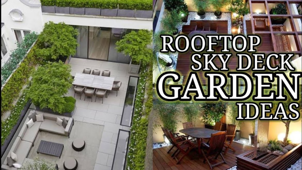 Amazing rooftop Garden design Ideas