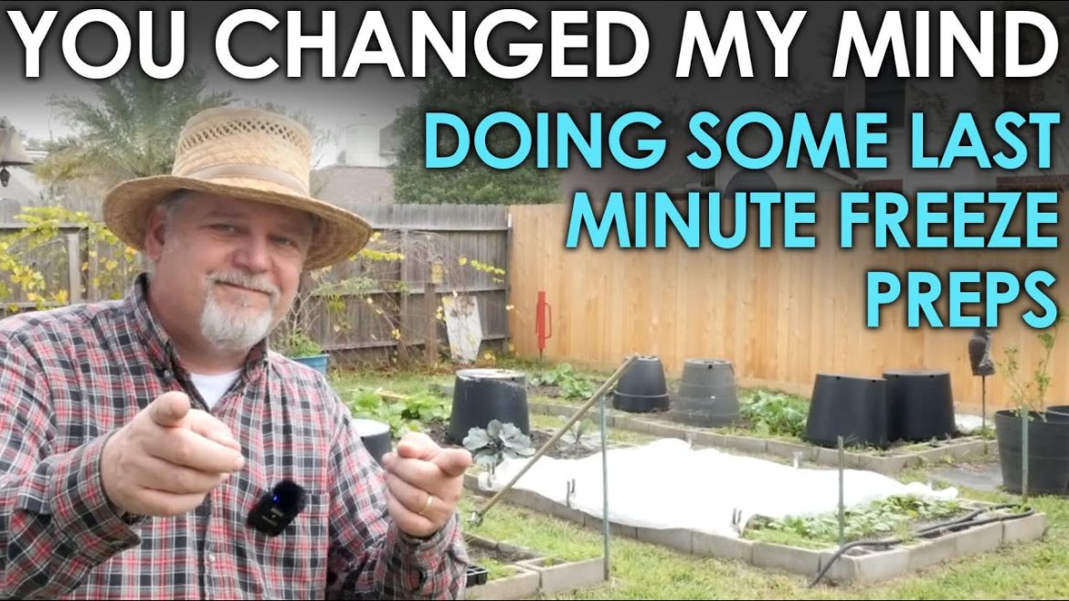 You CHANGED MY MIND! Garden Freeze Preparations || Black Gumbo