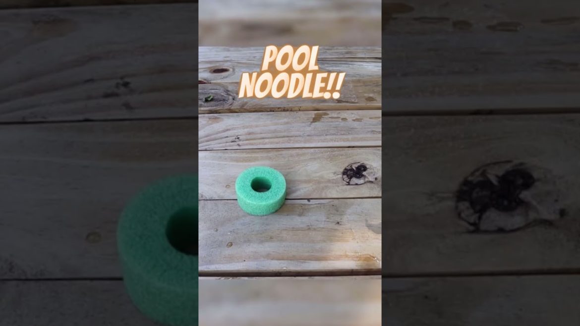 Cheap & Easy Hydroponic BASIL ANYONE Can Grow Cheap & Easy Hydroponic BASIL ANYONE Can Grow