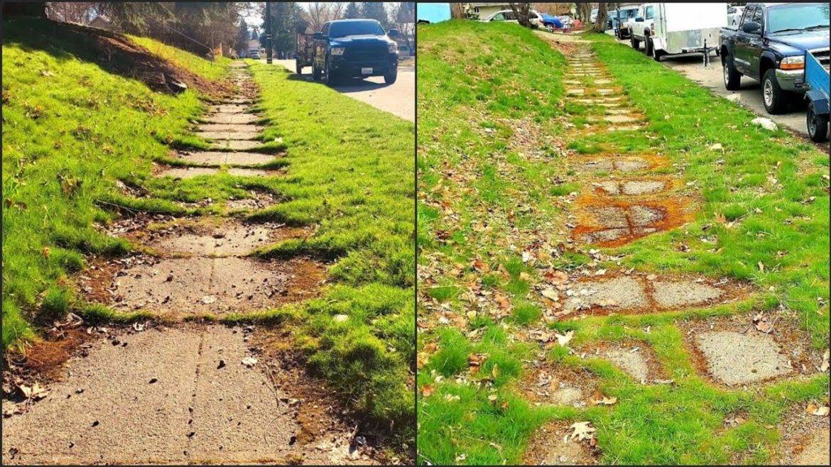 Overgrown Sidewalk UNCOVERED After 50 Years Of NEGLECT (12 Hour Job) Overgrown Sidewalk UNCOVERED After 50 Years Of NEGLECT (12 Hour Job)