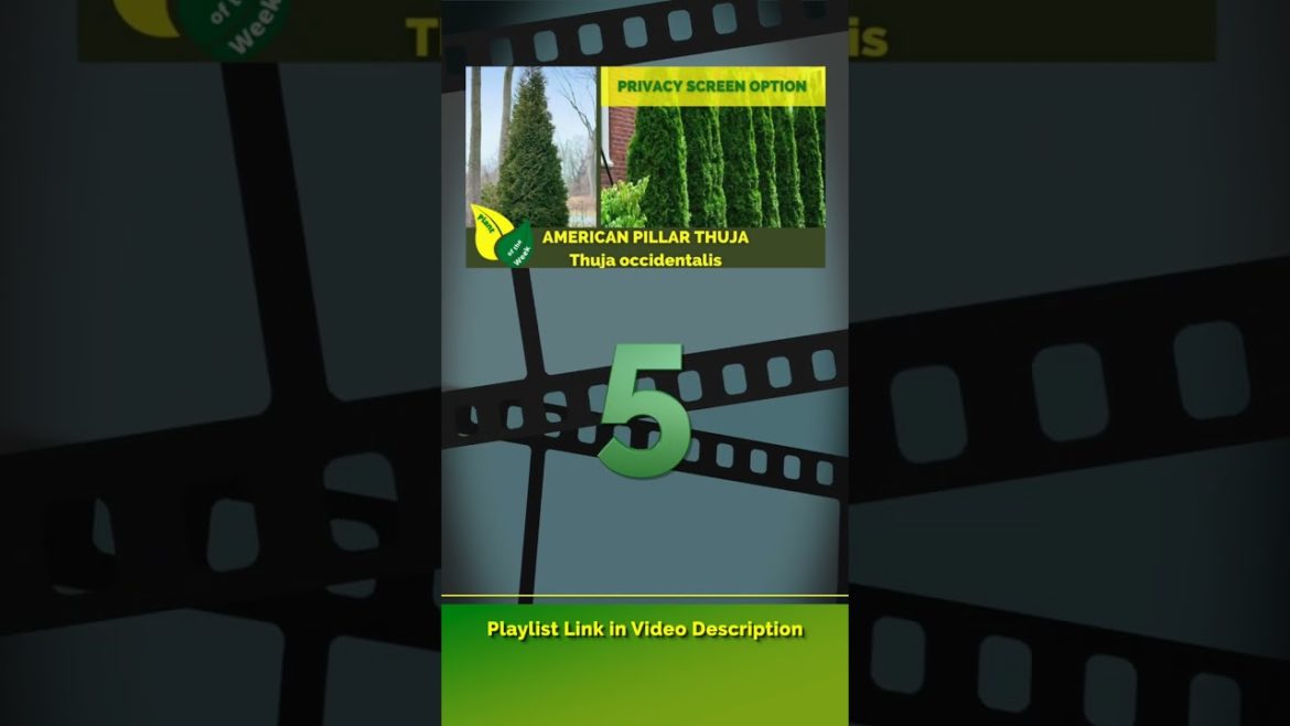 Top 10 Plants for 2022  | Which Videos did You Miss? | Plant of the Week Playlist