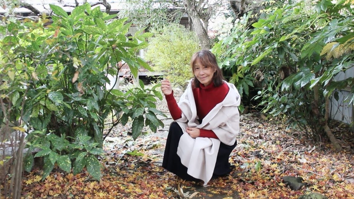 only yesterday/師走だけれど雨の日はのんびり