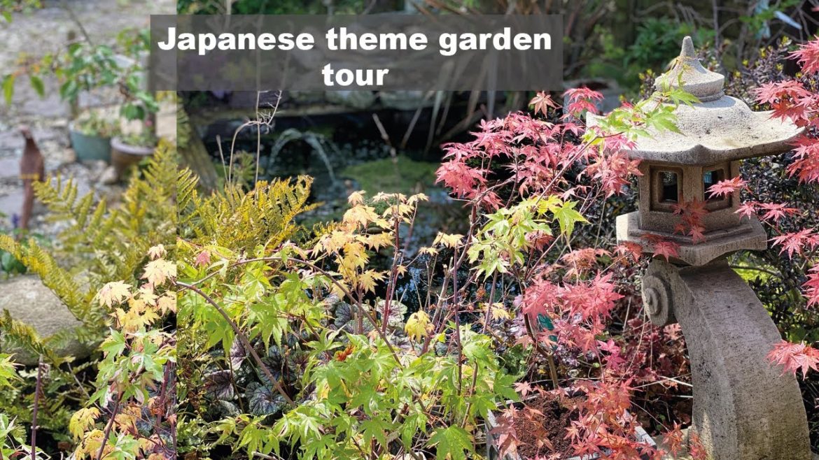 Relax Japanese theme garden tour | Spring season | Acers maple lantern landscape | UK Vlog Relax Japanese theme garden tour | Spring season | Acers maple lantern landscape | UK Vlog