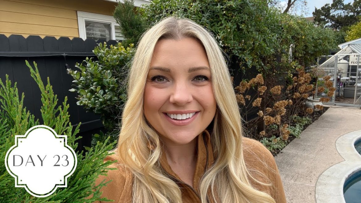 Holidays in the Garden Day 23! :: December Back Garden Tour and 2022 Back Garden Look Back!