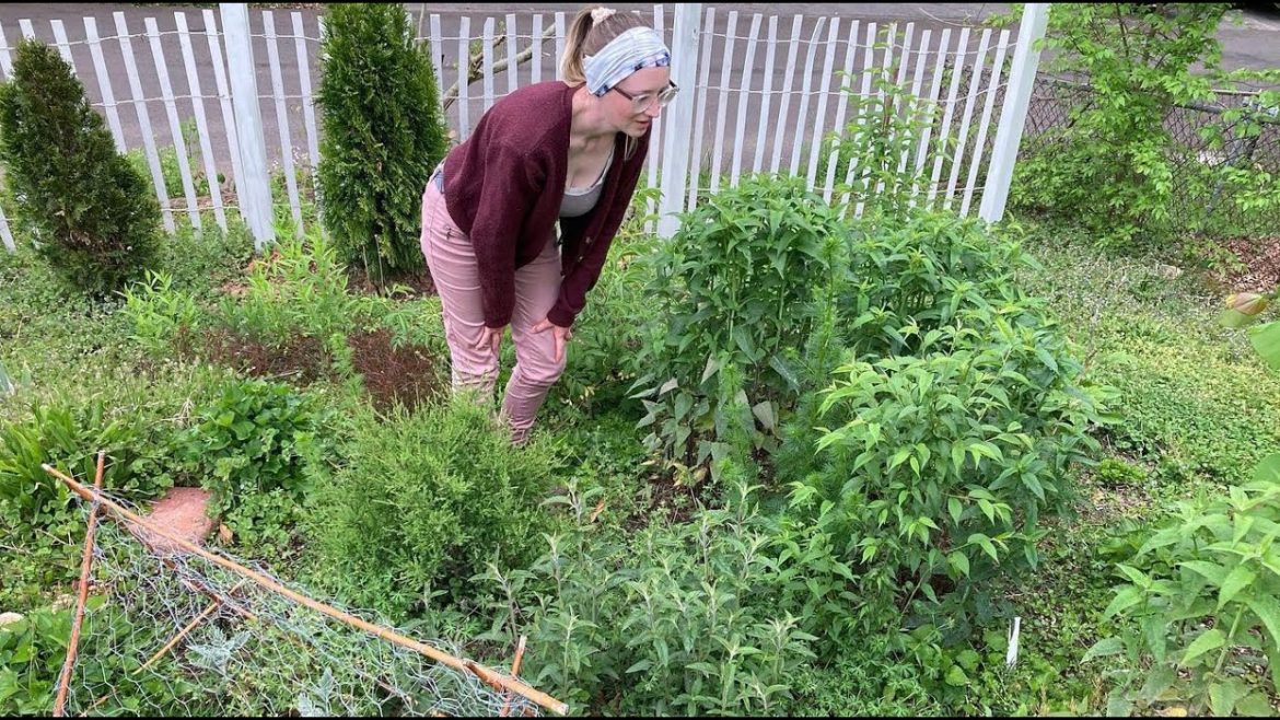 Native Plant Gardening Tools and Resources