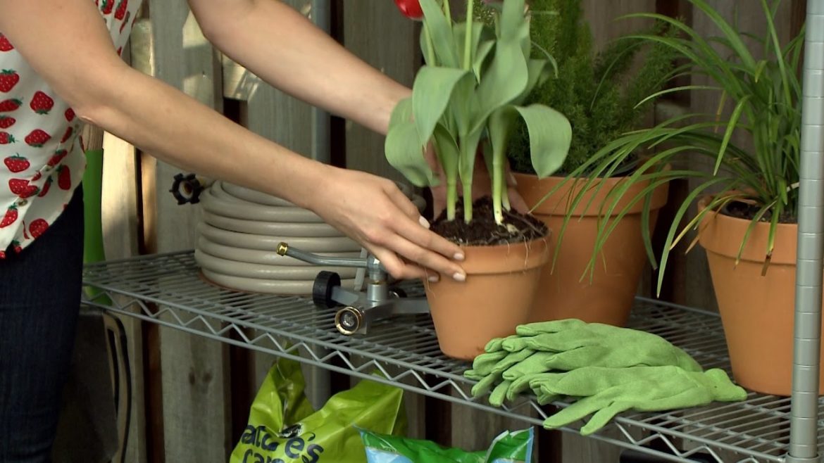 Go Green! Organize your gardening gadgets and more Go Green! Organize your gardening gadgets and more