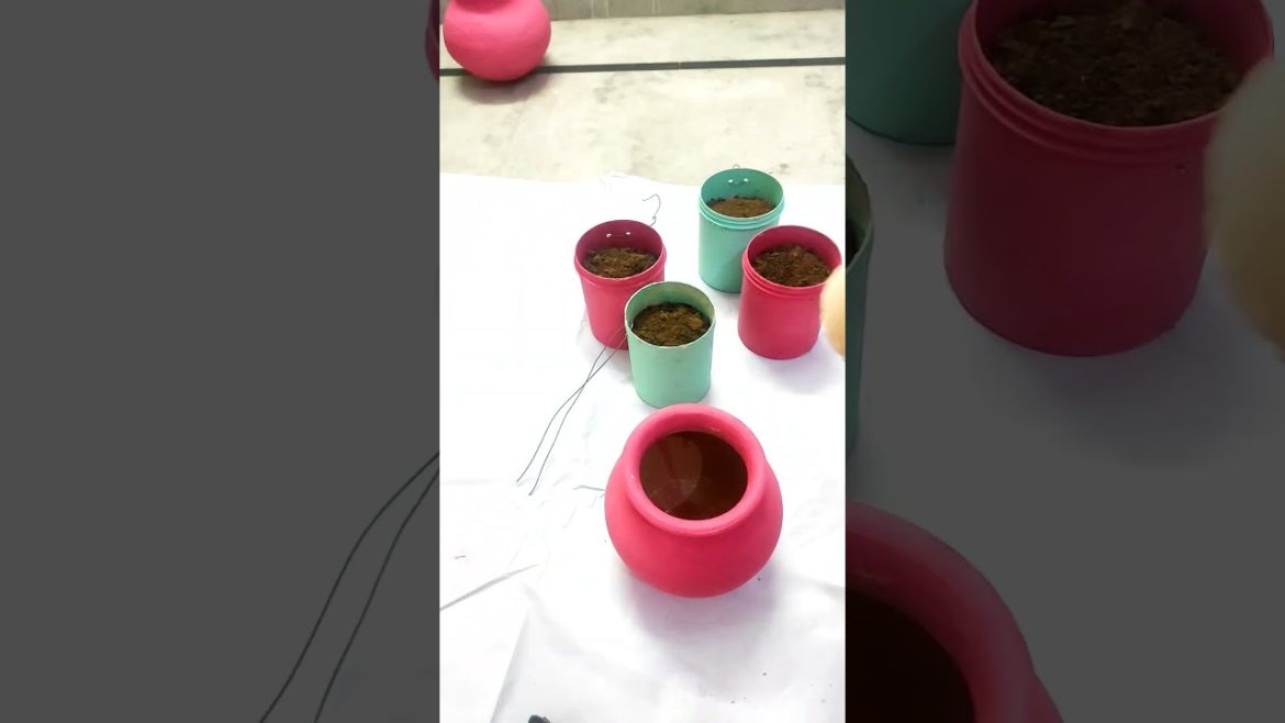 #Mini garden from waste material#plastic containers# waste cardboard pipe# waste pot......