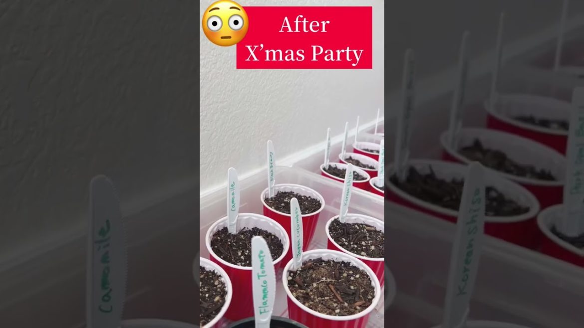 SAVE YOUR RED CUP ! 🤫Shhhh 🤫 Free GARDENING HACK