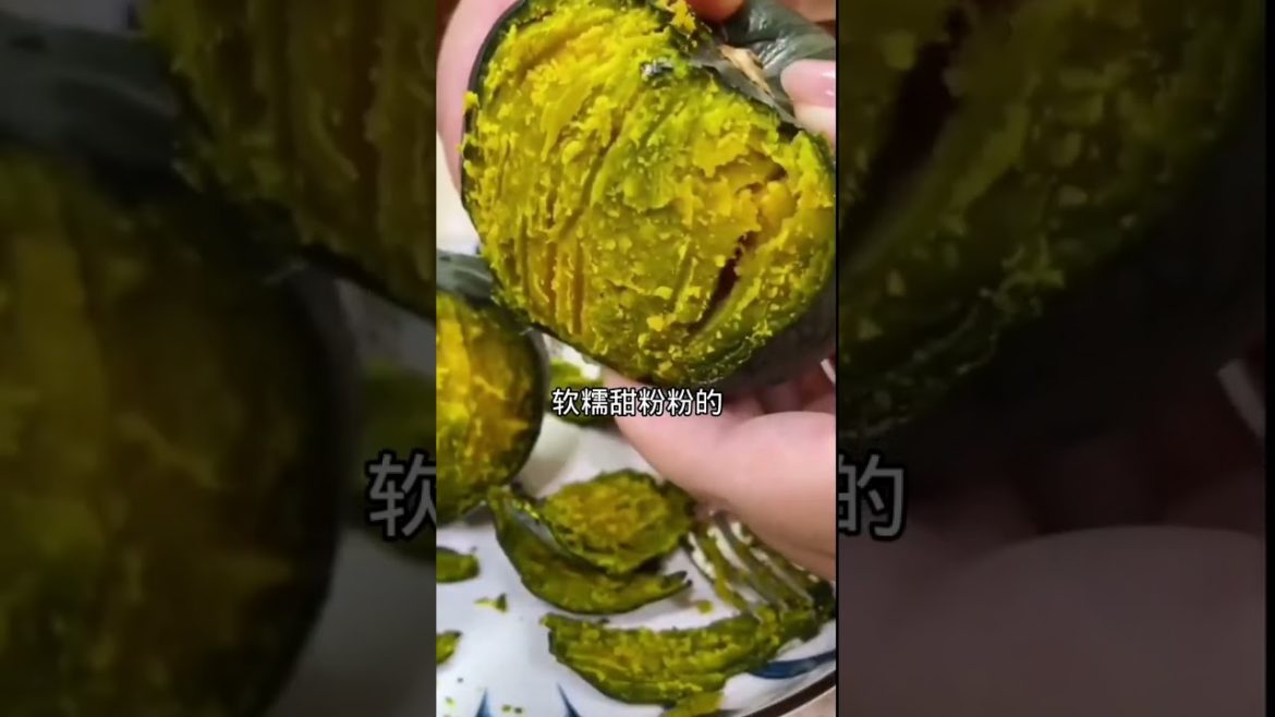 how to growth vegetable /gardening ideas for home