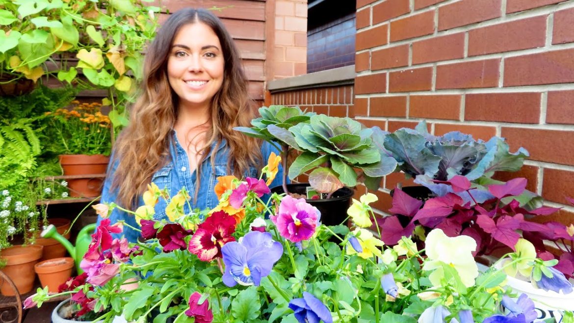 Beginning The Fall Garden Transition | Container Gardening