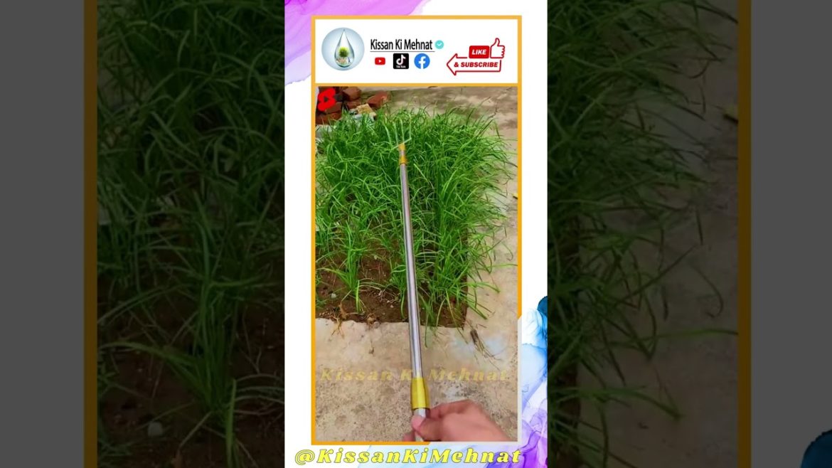 Amazon Gardening Tool,  Creative Farming Tool