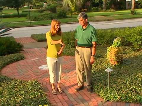 Central Florida Gardening – Container Gardens Central Florida Gardening - Container Gardens