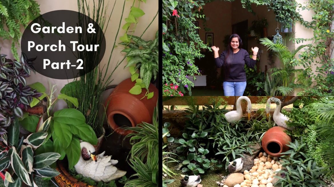 My Garden Tour Part-2|| मेरे गार्डेन और porch लगे plants।। My Plants collection