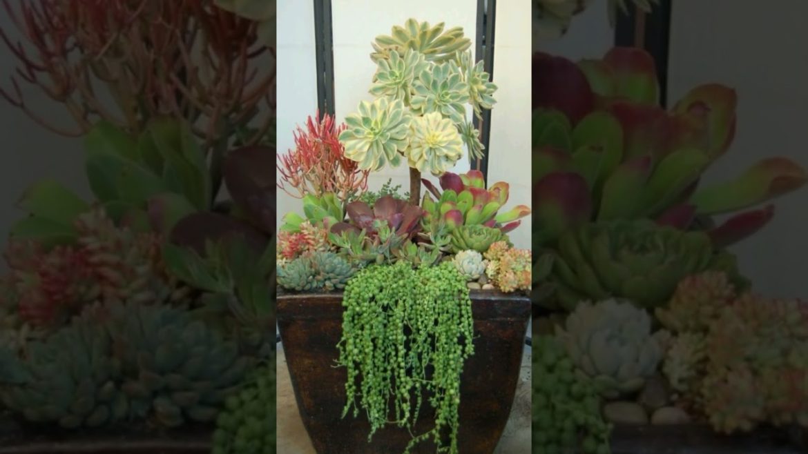 BEAUTIFUL CONTAINER #shorts #viral #viralshorts