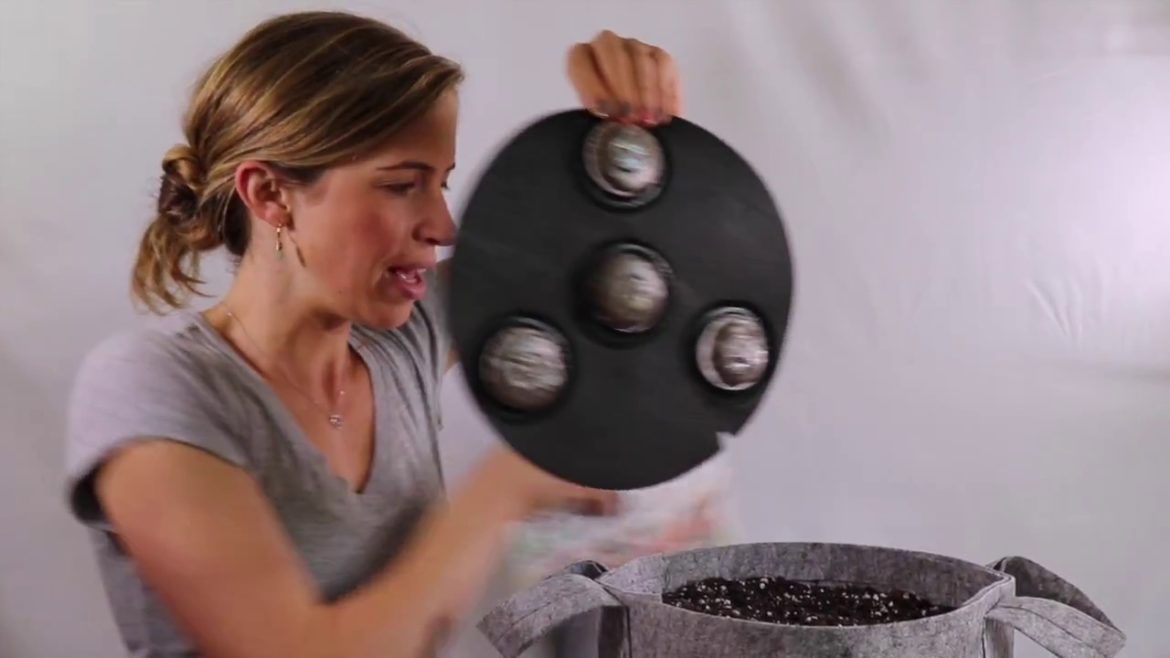 How To Plant a Seedsheet Container Garden