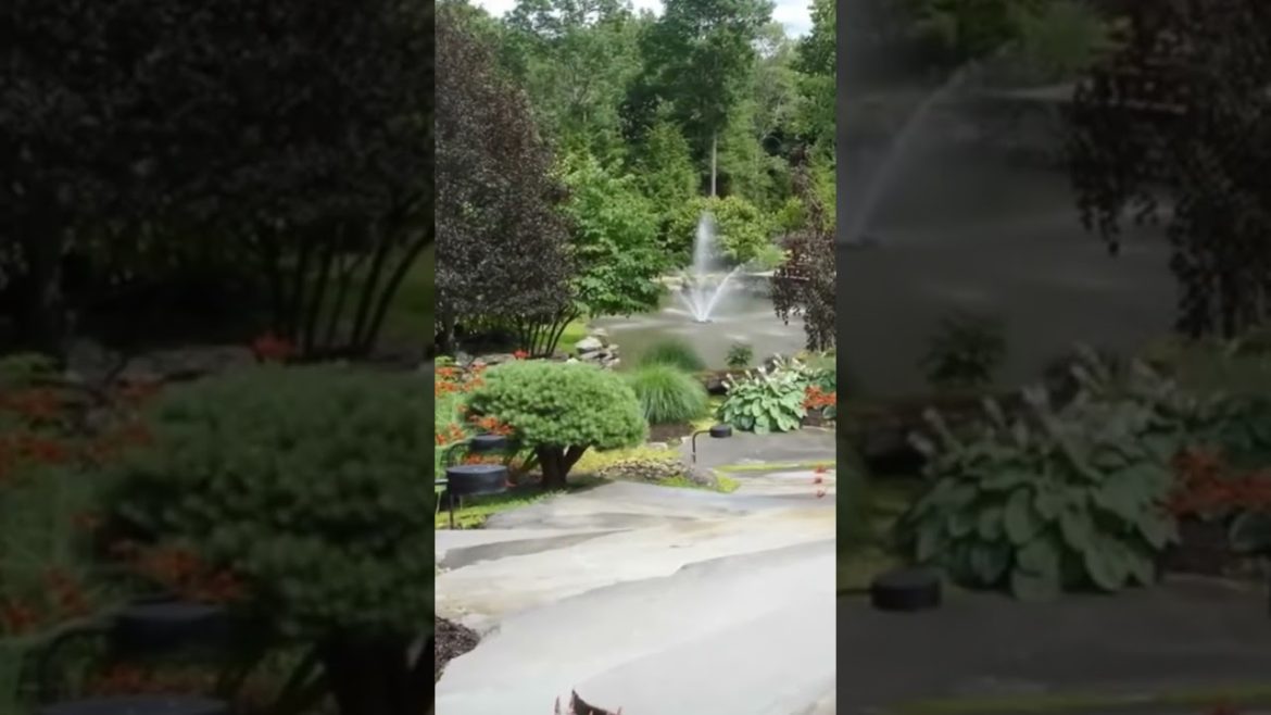 #garden #shortvideo #backyardideas #landscapedesignideas #gardentastic #viral #shorts