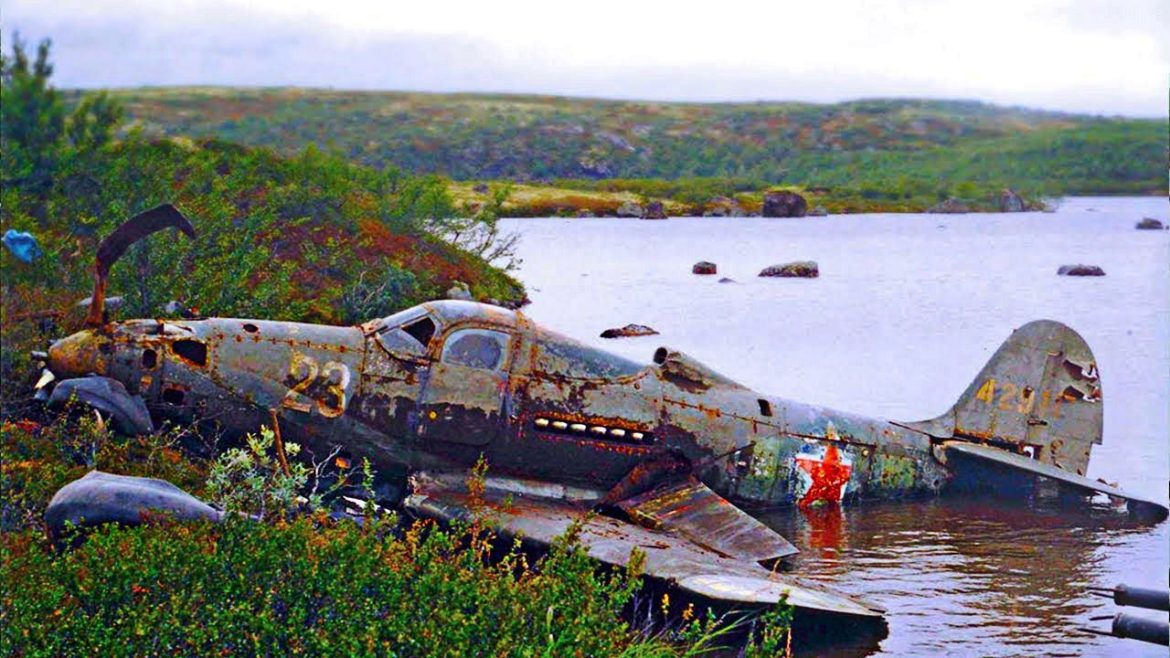 Man Finds Plane Hidden in Jungle, But When He Looks Inside